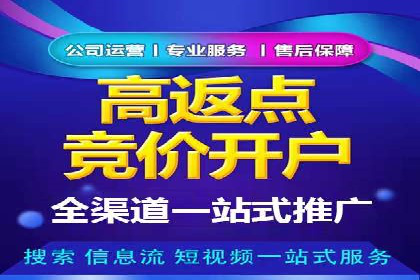 如何利用百度竞价代理：真实案例分析